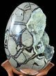 Septarian Dragon Egg Geode - Yellow Calcite Crystals #55494-3